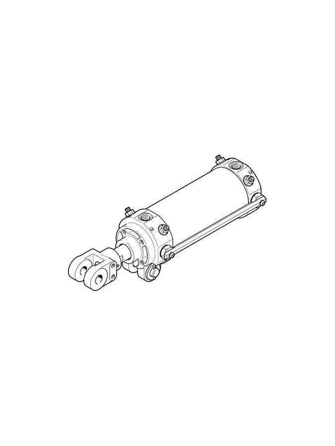 dwa-50-50-y-a-festo