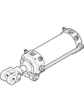 dwa-50-50-y-a-festo