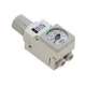 arm10-20g-smc