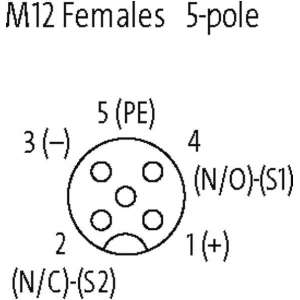 27075-murrelektronik