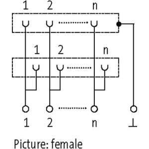 54164-murrelektronik