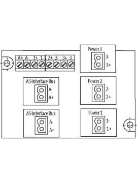 55575-murrelektronik