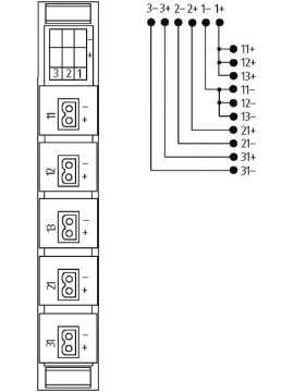 55607-murrelektronik