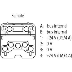 56947 Murrelektronik