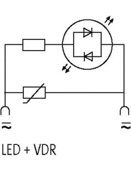 3124052-murrelektronik