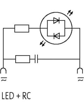 3124263-murrelektronik
