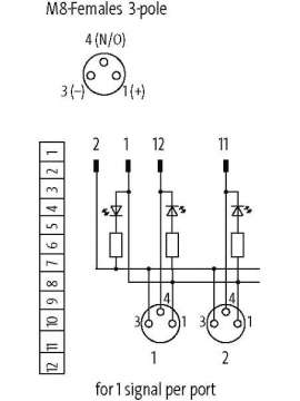 8000-80001-0000000-murrelektronik