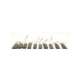 36a164452aap20-national