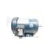 120122.00 c143t17fb4f-leeson