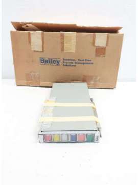 rz333333-bailey