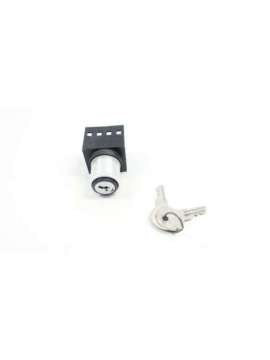 pwkec1322ggff-micro switch