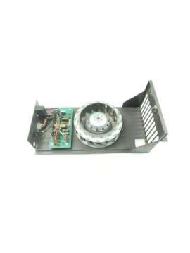 ipfan11-bailey