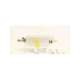 55-011695-thermo fisher