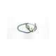 rpt2-1804d-pu-01-b&plus