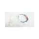 evc101-ifm efector