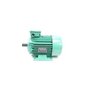 3LS100LT LEROY SOMER