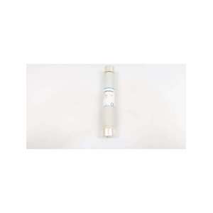 fd20gb100v10t-ferraz shawmut