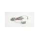 zse40af-01-r-smc