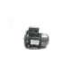 c80t11fz24-leeson