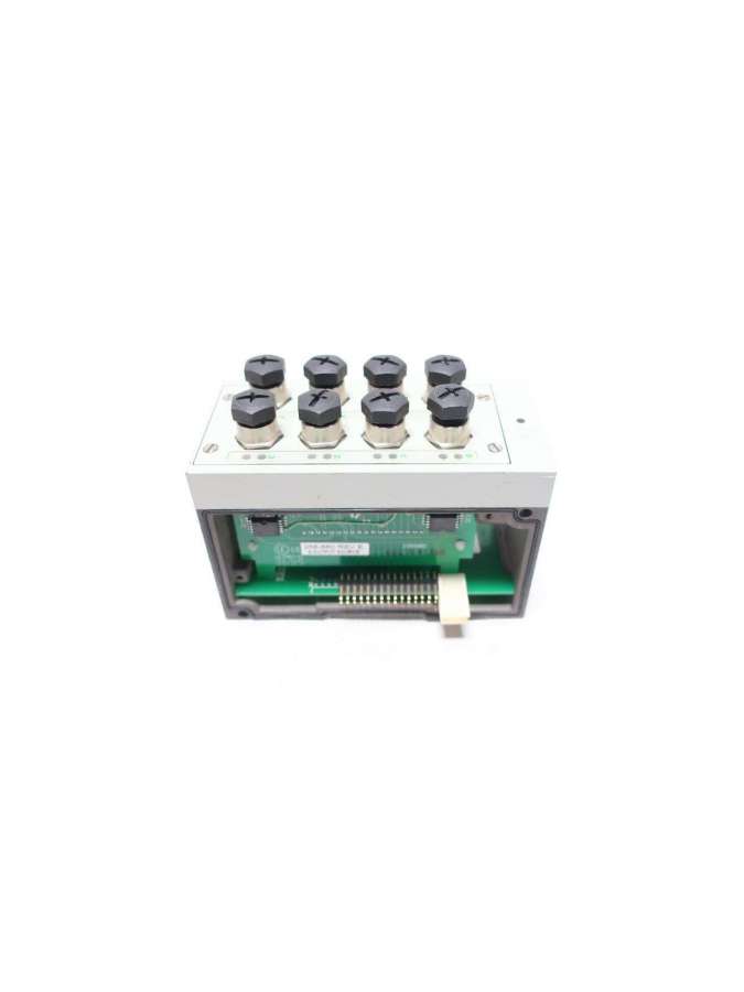 239-1315-numatics