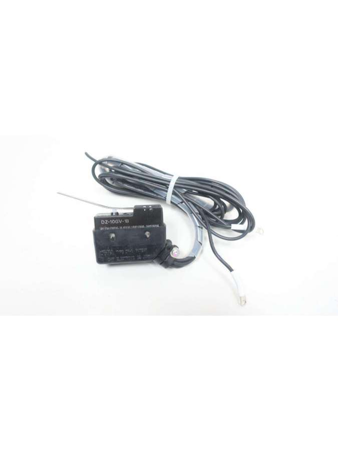 dz-10gv-1b-micro switch