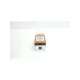 lit/4-20ma/a/117ac/-it ts-moore