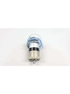 83a659/129b2900-globe motors