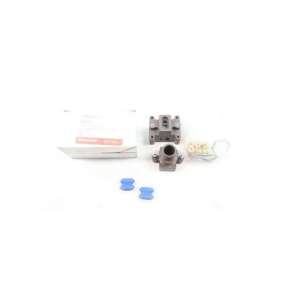 pmkg-lp-raychem