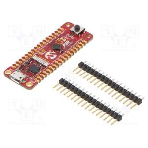 DM080104 MICROCHIP TECHNOLOGY