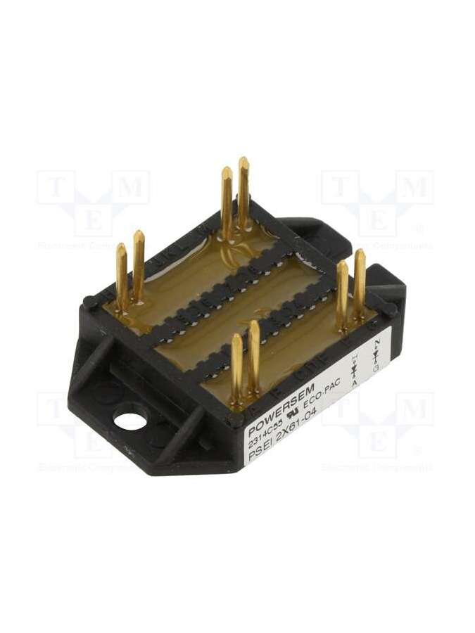 psei 2x61/04-powersem