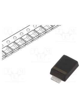 ss12f-dc components