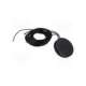 atggltew84018-2.0bp-yic