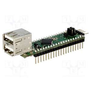 V2DIP2-48 FTDI