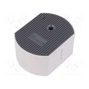 D1 SONOFF