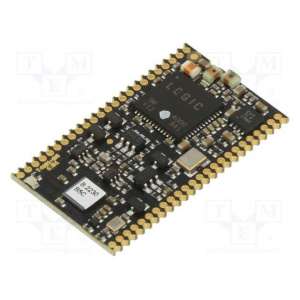 TWN4 MULTITECH NANO LEGIC C0 VERSION P ELATEC