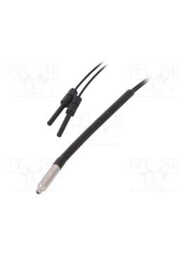 fs-01d-100-anly electronics