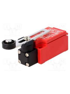 ed-1-1-21-highly electric