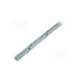 93-30207511-ssp-guenther