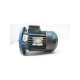 m80b4-pujol