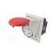 425-6pkg-pce