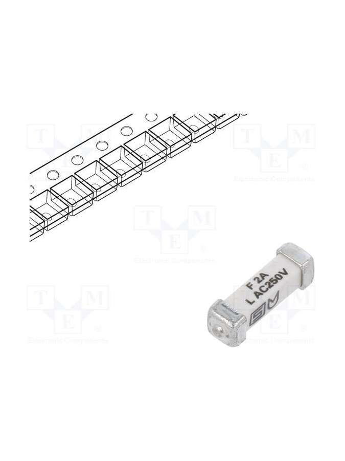 3405.0169.24-schurter