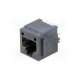 955522887-molex