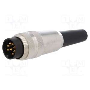SV 81 LUMBERG