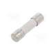 0215002.txp-littelfuse