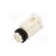 172878-0040-molex