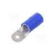 koe_6-50/50-erko