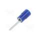 tmex tc-2-11s-blu-nichifu