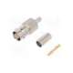 000-36800-rfx-amphenol rf