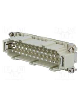 cnem 24 t-ilme