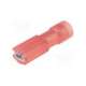 tmden 280509-fa-rcl-nichifu